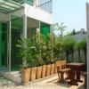 Bangkok Property