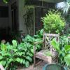 Bangkok Property