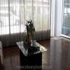 Bangkok Property